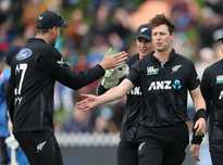 荷兰小球员 荷兰小球员