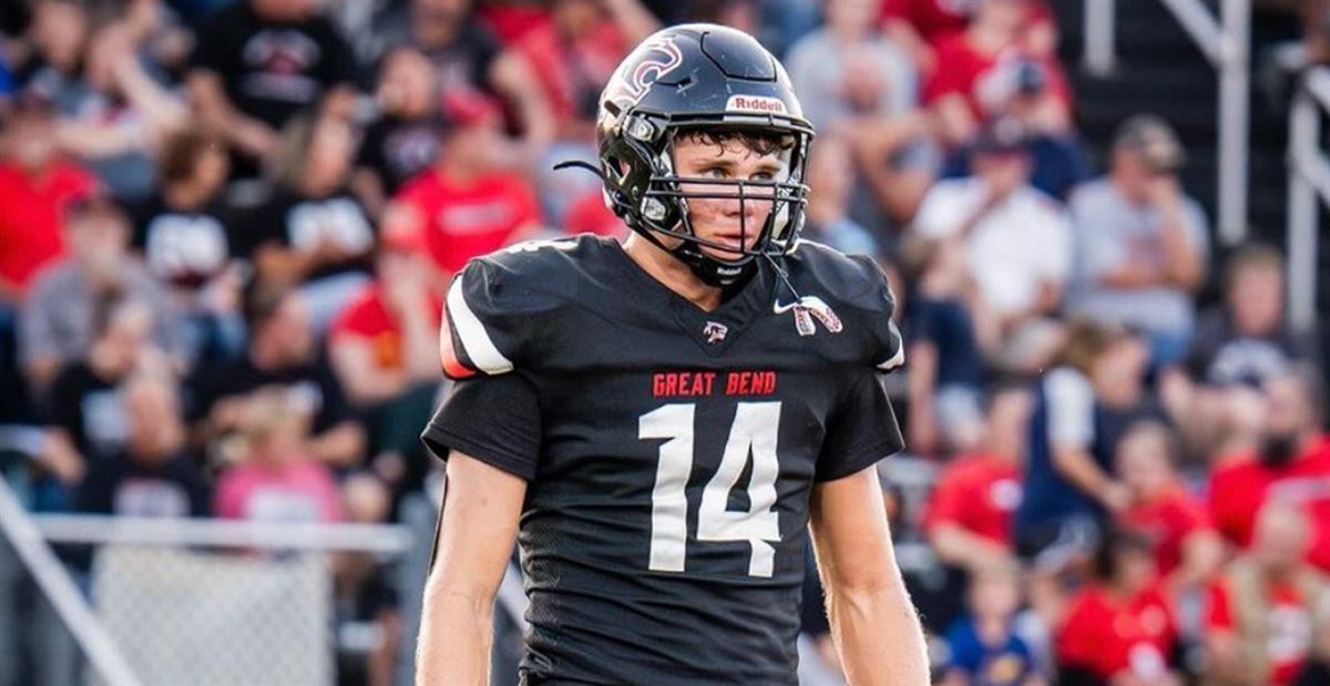 波波维奇的 波波维奇的